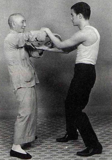 Ip Man Kung Fu Master