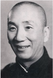 Ip Man Kung Fu Master