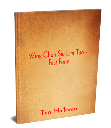 free online wing chun lessons